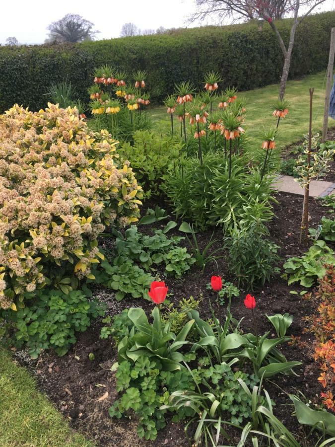 The Rag House Bed & Breakfast Upton upon Severn Bagian luar foto